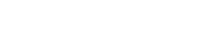 Logotip VARIBOR